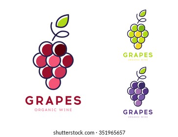 Wine logo vector flat line icon. Grapes vector logo icon isolated on white in different colors. Organic wine brand identity design template. Modern graphic label concept. Vector element