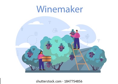 Weinbaukonzept. Traubwein in einem Holzfass, Flasche Rotwein und Glas voller Alkohol. Entstehung der Trauben, Belichtung und Samping, Weinlese. Einzelne Vektorgrafik
