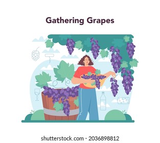 Wine maker concept. Grape wine in a wood barrel, bottle of a red wine and glass full of alcohol drink. Reciepe development, exposure and samping, grape selection. Isolated vector illustration