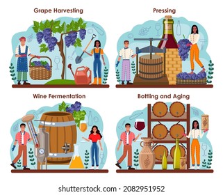 Wine maker concept set. Grape wine aging in a wood barrel. Wine factory production. Manual grape harvesting, pressing, fermantation and bottling. Flat vector illustration