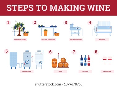 Wine making process steps-from harvest grapes to natural grape red wine. Traditional production of alcohol beverages in winery on winemaking equipment. Banner with infographics.