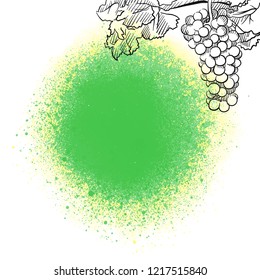 Wine menu background. Vector food illustration.