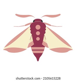 Weinmotteninsekt. Dekoratives Dekor. Geometrische InsektenVektorgrafik auf ebene