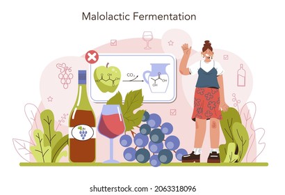 Wine production concept. Alcohol drink traditional making process and technology. Wine malolactic fermentation. Grape wine in a bottle or glass. Flat vector illustration