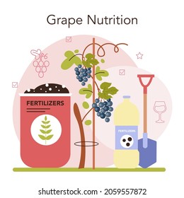 Concepto de producción de vino. Selección y cultivo de árboles de uva. Nutrición de uva con fertilizantes. Buena cosecha, características de bebidas alcohólicas. Ilustración vectorial plana