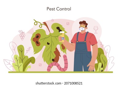 Wine production concept. Grape tree selection and cultivation. Grape pest and disease prevention. Good harvest. Alcohol drink characteristics. Flat vector illustration