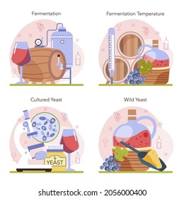 Wine production concept set. Wine fermentation with wild and cultured yeast. Grape wine in a bottle or glass. Alcohol drink characteristics. Flat vector illustration