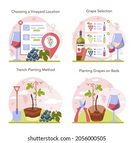 Conjunto de conceptos de producción de vino. Selección y cultivo de árboles de uva. Selección de viñas y plantación de uvas. Buena cosecha. Características de la bebida alcohólica. Ilustración vectorial plana