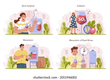 Wine Production Concept Set. Red And Rose Wine Sulfation And Maceration. Alcohol Drink Characteristics Improvement, Appearance, Taste, And Shelf Life. Wine In A Bottle Or Glass. Vector Illustration