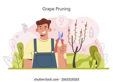 Producción de vino. Selección y cultivo de uva. Amortización de uvas, estimulación del crecimiento de raíces y densidad de plantación de árboles. Características de la bebida alcohólica. Ilustración vectorial plana