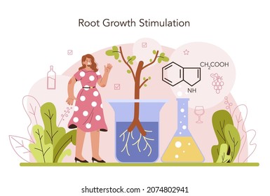 Wine production. Grape selection and cultivation. Grape pruning, roots growth stimulation and trees planting density. Alcohol drink characteristics. Flat vector illustration