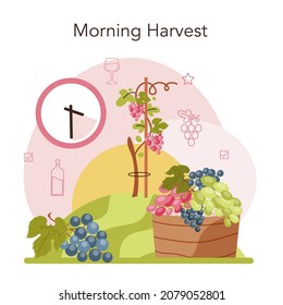 Producción de vino. Selección, cultivo y cosecha de uva. Características de la bebida alcohólica. Vino de uva en una botella o un vaso. Ilustración vectorial plana
