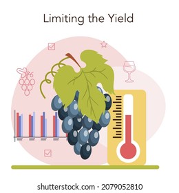 Wine production. Grape selection and cultivation. Grape pruning, roots growth stimulation and trees planting density. Alcohol drink characteristics. Flat vector illustration