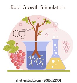 Wine production. Grape selection and cultivation. Grape pruning, roots growth stimulation and trees planting density. Alcohol drink characteristics. Flat vector illustration