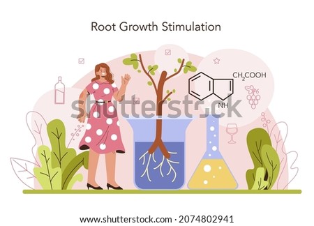 Wine production. Grape selection and cultivation. Grape pruning, roots growth stimulation and trees planting density. Alcohol drink characteristics. Flat vector illustration