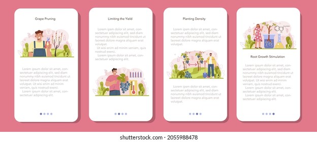 Juego de banners para aplicaciones móviles de producción de vino. Selección y cultivo de uva. Amortización de uvas, estimulación del crecimiento de raíces y densidad de plantación de árboles. Ilustración vectorial plana