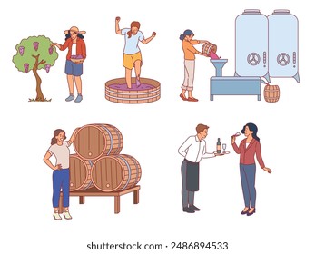 Wine production. People grow grapes, noble alcoholic drink, fermentation process, winemakers and sommeliers, , vines, natural winery product in oak barrels cartoon flat isolated vector set