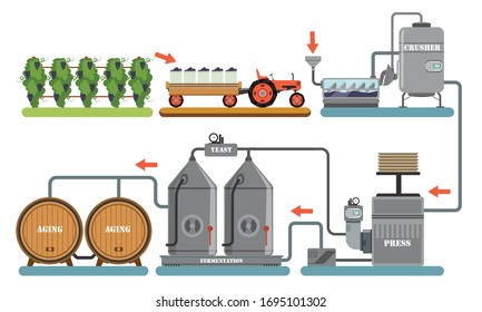 Wine Production Process, Alcoholic Beverages Making Equipment, Grapes Harvesting, Crushing, Pressing, Fermentation, Aging Vector Illustration