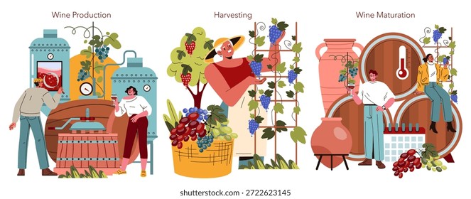 Wine production process set illustrating grape harvesting, winemaking, and maturation with diverse characters engaging in each stage.