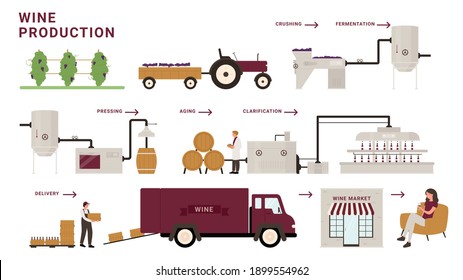 Wine production process stages infographic vector illustration. Cartoon modern winery factory line processing grapes, crushing, fermentation and aging, delivery to customer tasting alcohol beverage