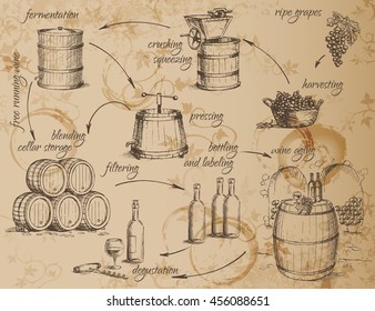 Wine production scheme. How to make wine. General principles. Vector illustration.