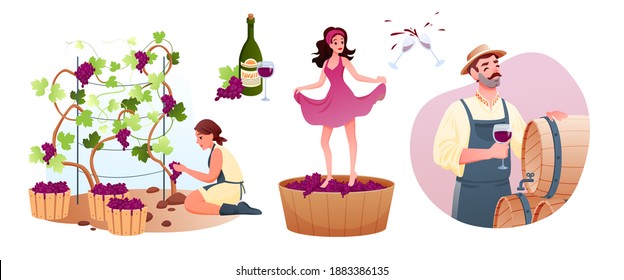 Wine production in traditional winery. Cartoon man woman characters produce natural vine, grow organic grapes, producing wine product, tasting alcohol drink from wooden barrel