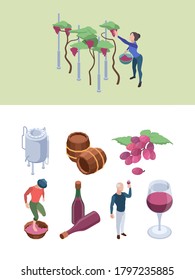 Wine production. Vineyard people working winery processes technology grapes drink bottling machines big barrels vector isometric set