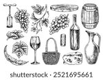 Wine. A set of clip art depicting wine, bottle, glass, cheese and grapes. A barrel, a jug, a corkscrew and a cork. A graphic vector illustration drawn by hand. Isolate on a white background.
