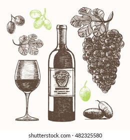 Wine Set Hand Draw Sketch. Grapes bunch, wine bottle and glass sketches for Restaurant Menu and sticker, banner, flyer Design. Vector illustration for alcohol wines industry.