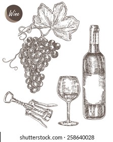 Wine set hand drawn. A bottle of wine, a glass, a corkscrew and a bunch of grapes. Vector illustration in sketch style