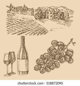 Wine set. Hand drawn vineyard, grapes and bottle of wine. Vector illustration in sketch style