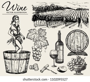 Wine set. Vector hand drawn elements including wine glass, bottle, grape, vineyard landscape, barrel with wine. Young woman crushing grapes with legs for wine making. Sketch style