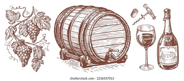 Wine set. Viticulture concept. Collection of hand drawn sketches for restaurant menu. Vintage vector illustration