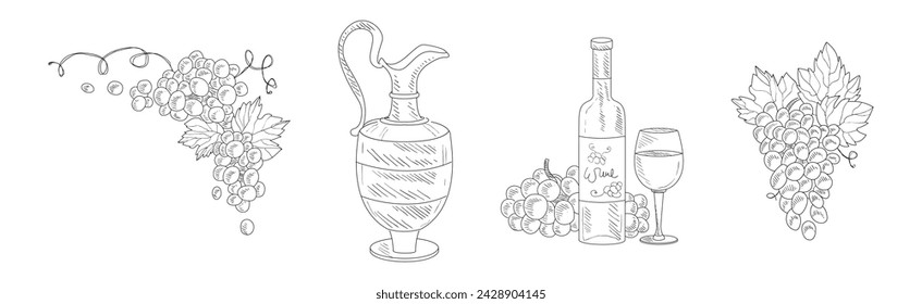 Wein Skizzenelement mit Krug, Flasche und Traube Vektor-Set