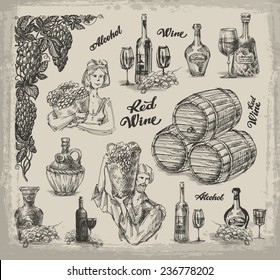 Wine. Sketch on the theme of wine. Vector illustration