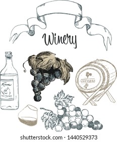 Wine sketch vector illustration. Winemaking hand drawn vintage set. Winery wooden barrel, glass with wine, grape cluster. Classical alcoholic drink and beverages.