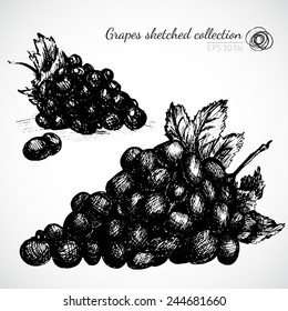 Wine sketch and vintage illustration