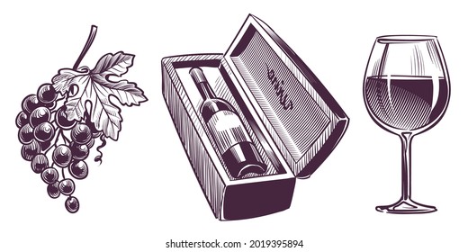 Wine Sketch. Winemaking Hand Drawn Set, Engraving Images, Classical Alcoholic Drink. Bottle In Wooden Gift Box And Wineglass, Bunch Of Grapes With Leaves, Grape Vine. Vecto Isolated Set