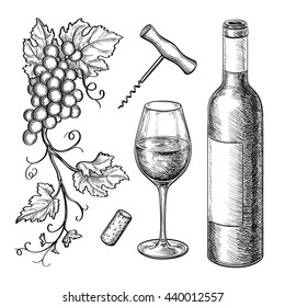 Wine still life Isolated white background  Hand drawn vector illustration  Retro style 