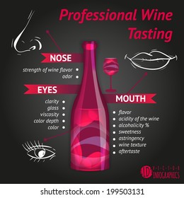 wine tasting. infographic