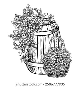 Wine. Vines and bunches of grapes in a basket, a barrel of wine. Vector graphics, black and white hand-drawn illustration on a white background. For packaging, labels, posters, banners and flyers.