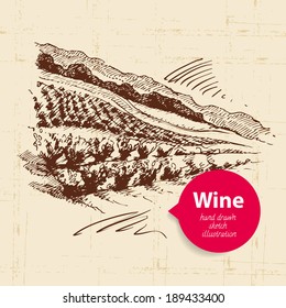 Wine vintage background with banner. Hand drawn sketch illustration of landscape