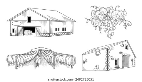 Wine, winery, grapes, vineyard line art drawing, hand drawn vector illustration