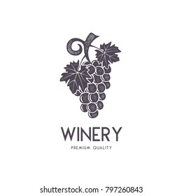 Wine, winery logo template. Drink, alcoholic logotype, beverage symbol, monogram. Vine icon and typography. Winery, premium quality sign. Stock vector illustration isolated on white background.