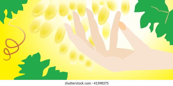 wine and woman hand banner