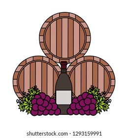 wine wooden barrels bottle and grapes