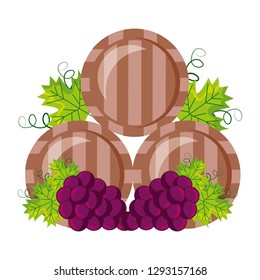 wine wooden barrels and grapes