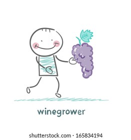 winegrower holds a bunch of grapes