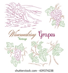 Winemaking 6. Hand drawn line illustrations of grapes and vineyard landscape. Ink pen picture in vector