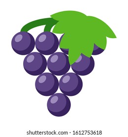 winemaking flat vector color icon